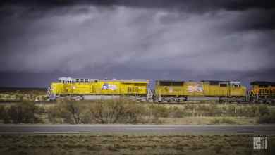 A photograph of a Union Pacific train traveling through a field.