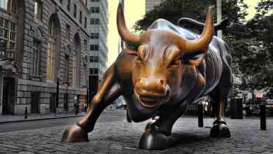 Wall Street bull