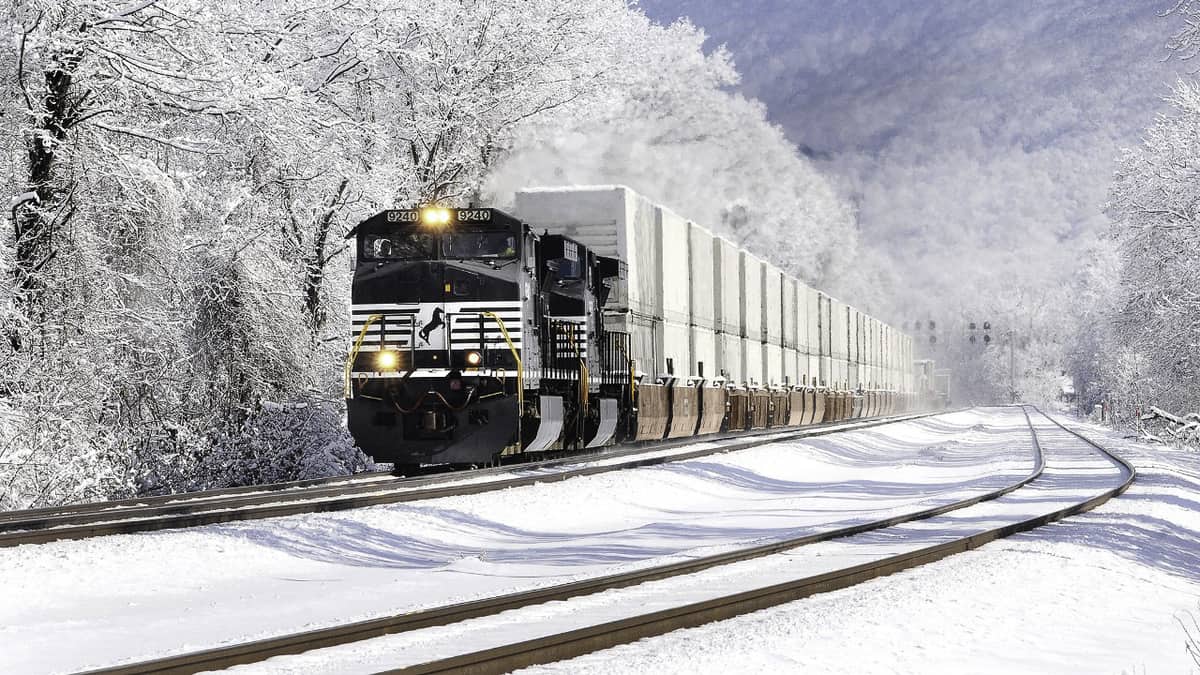 A photograph of a Norfolk Southern train traveling through a snowy forest.