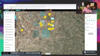 A screenshot of computer-generated map.