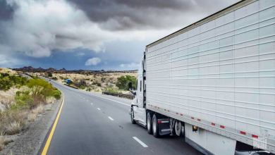 Transport stocks looking up, according to analysts