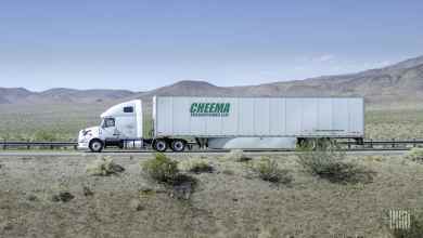Cheema plans to grow fleet in 2021