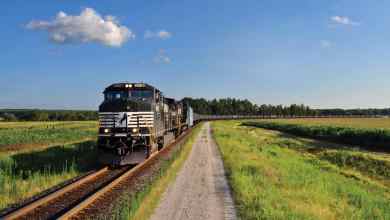 A photograph of a Norfolk Southern train rolling across a field.