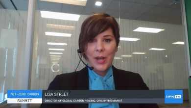 A screenshot of a woman in an office.