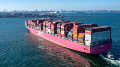 A large magenta colored ship with containers sails into port on a sunny day.