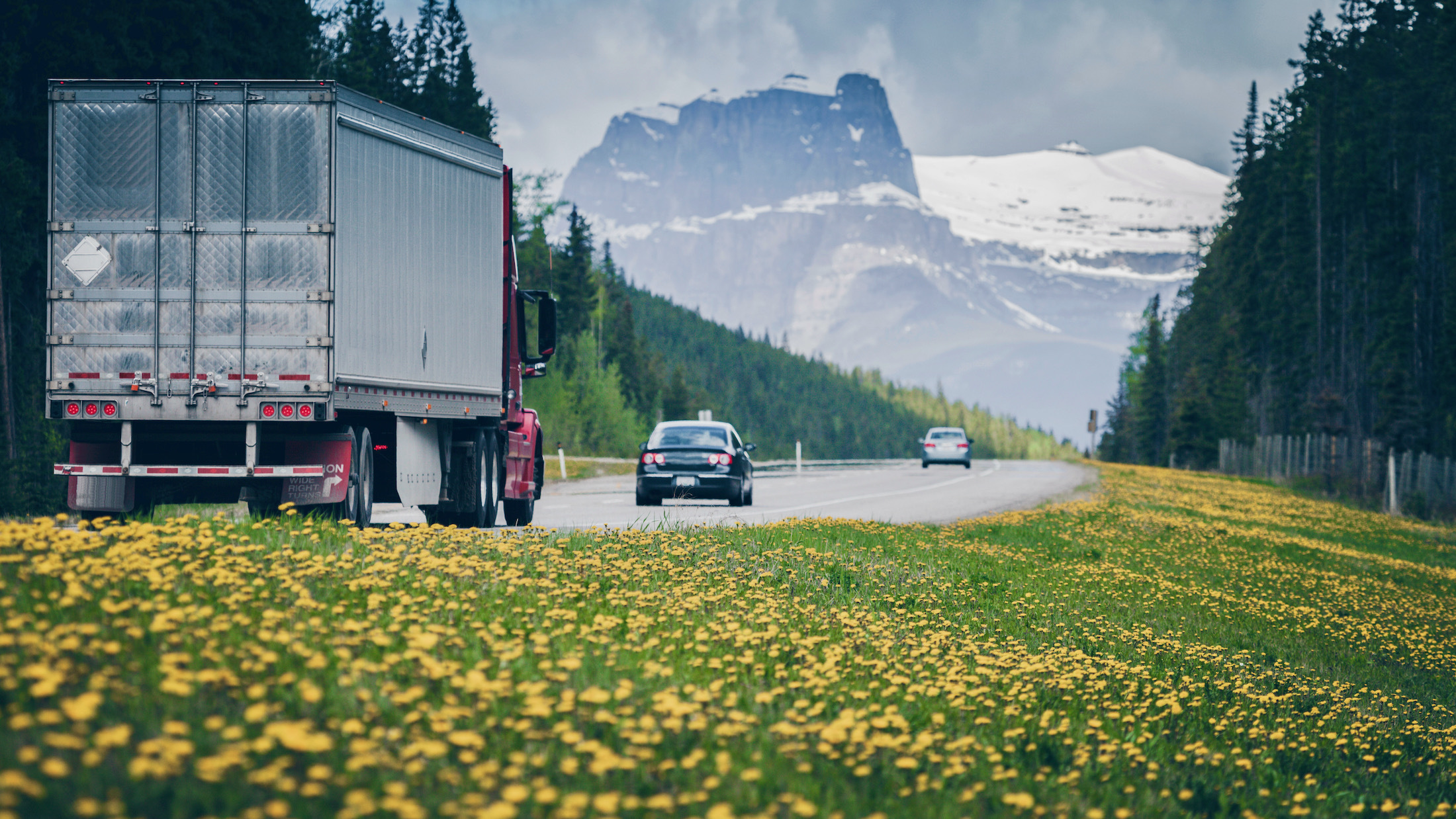 A truck travels on a road with mountains in the background in Alberta, Canada, where a trucking company shut down.