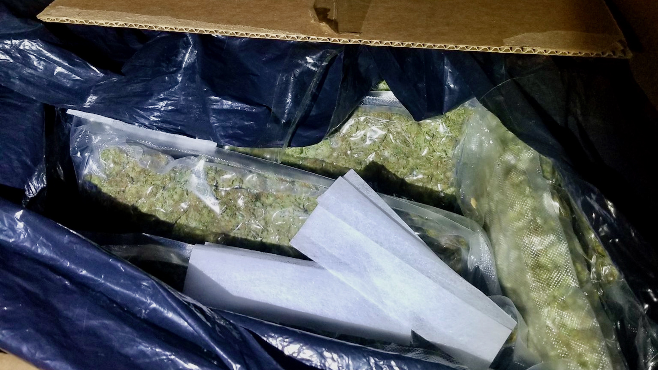 Bags of marijuana in a box seized from a truck at the US-Canada border