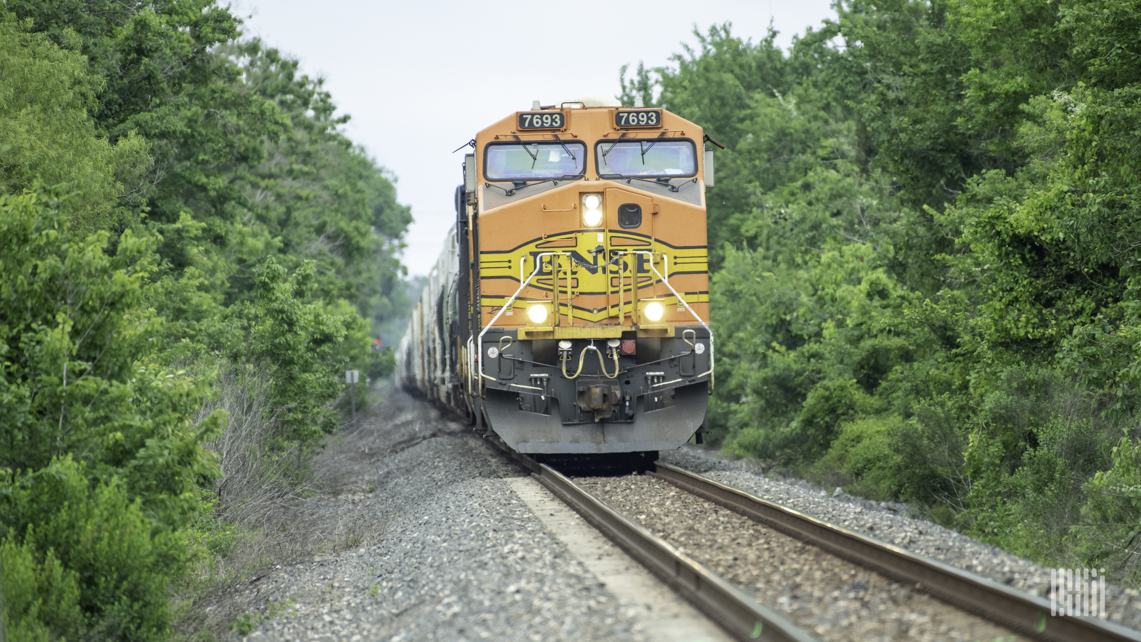 A photograph of a BNSF train rolling through a forest.