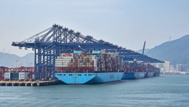 Three big container vessels in a row at a port terminal, with cranes overhead.