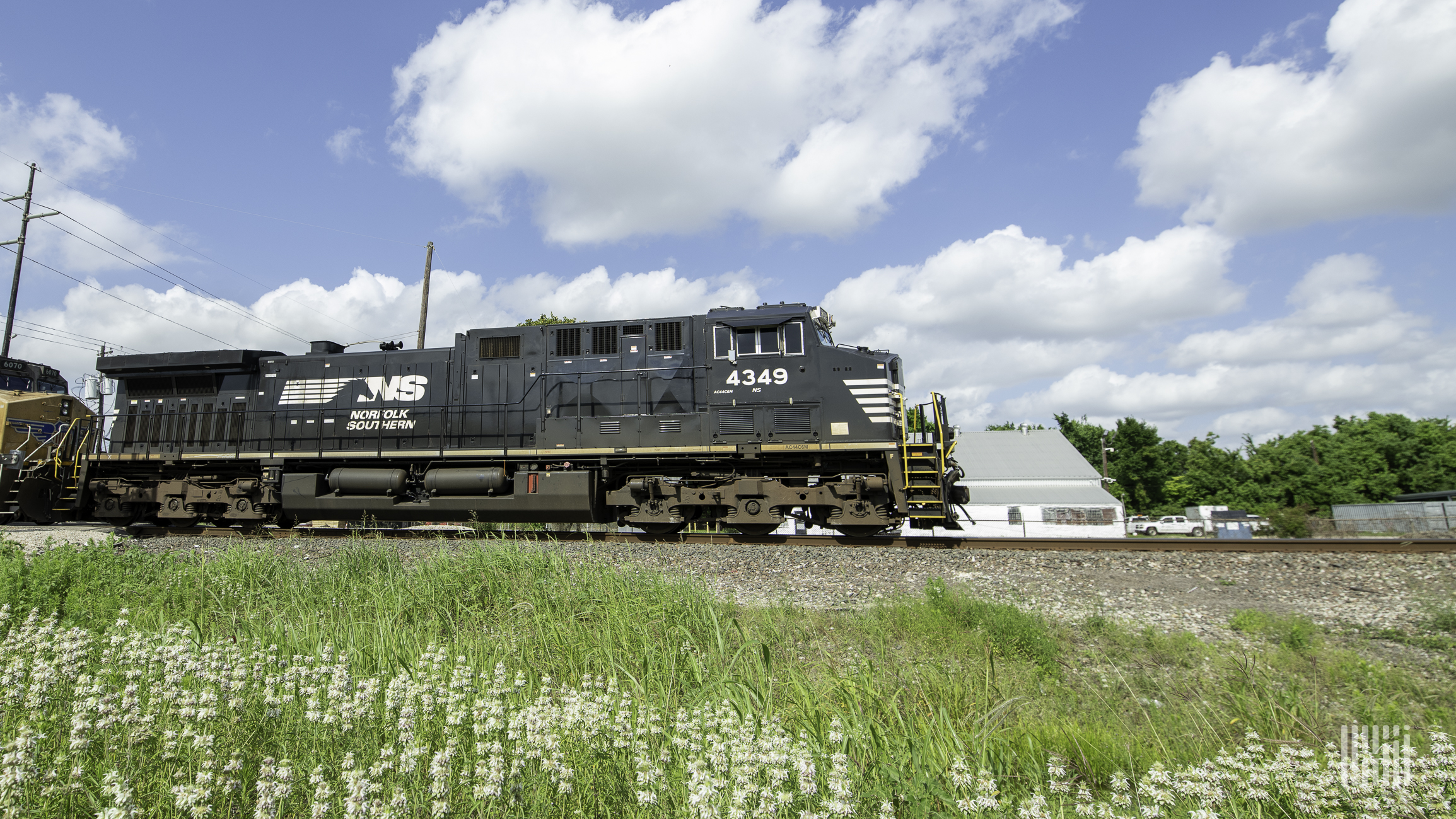 A photograph of a Norfolk Southern train rolling through a field.