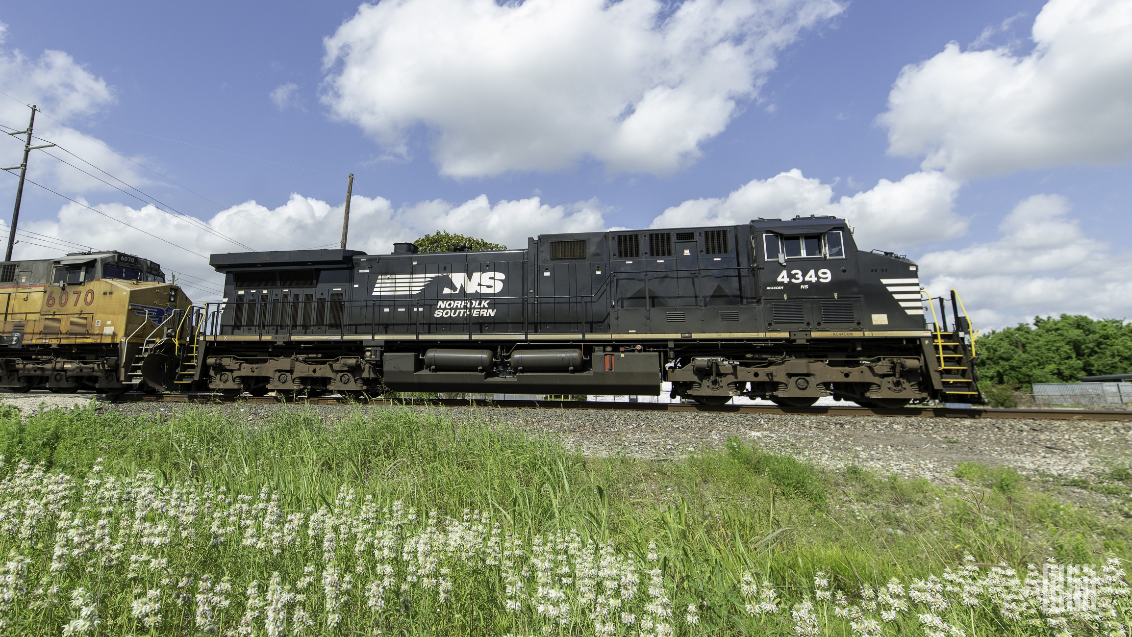 A photograph of a Norfolk Southern train rolling by a field.