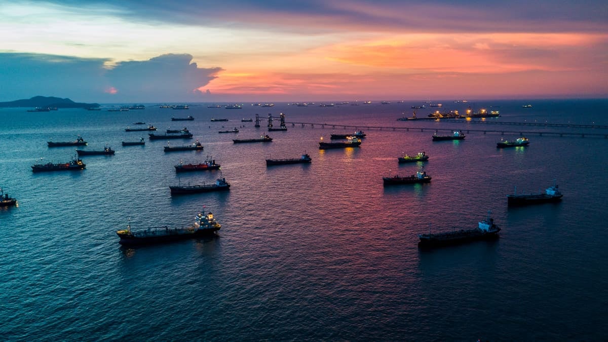 Ships at anchor, waiting to offload their cargo. (Photo: Jim Allen/FreightWaves)