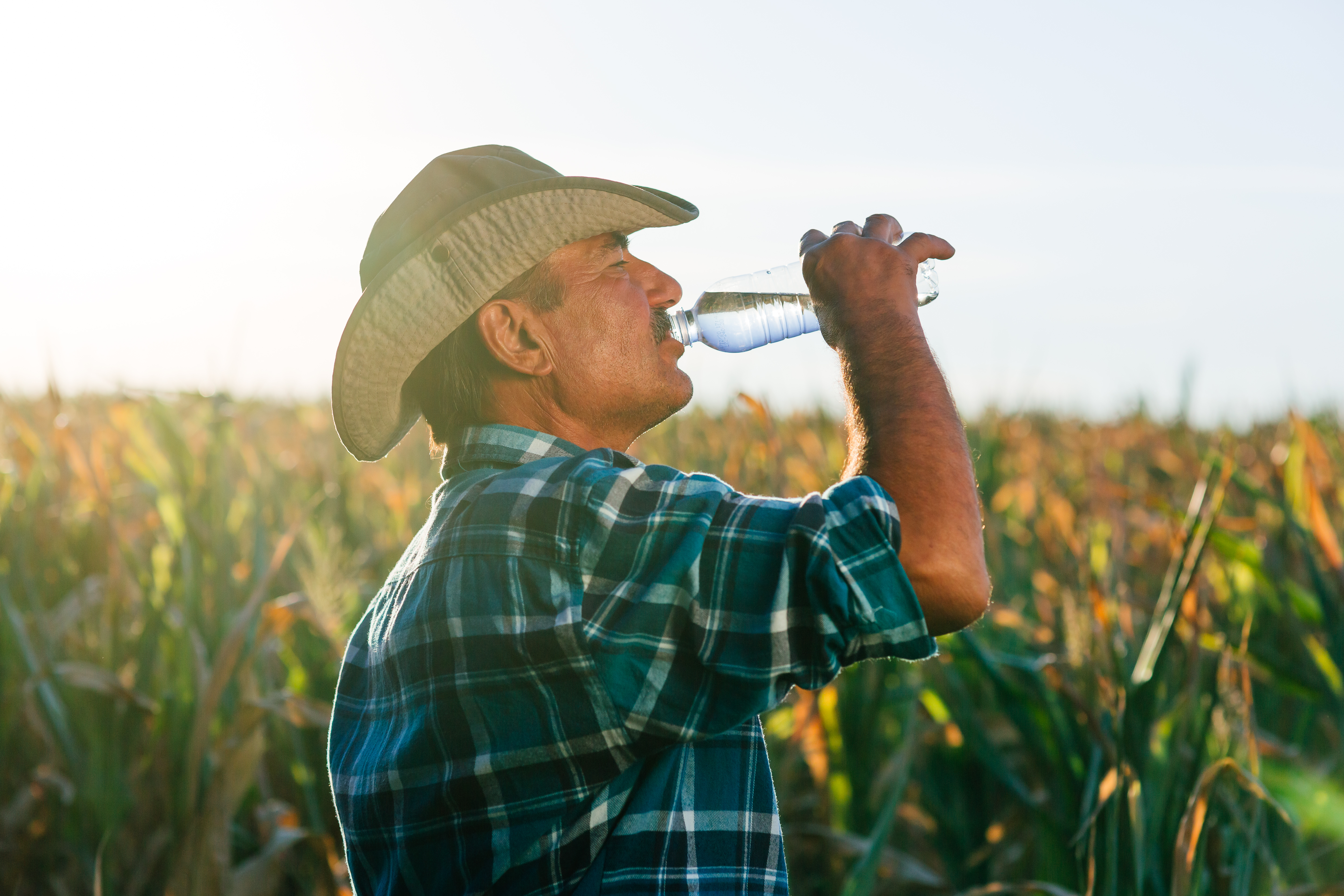 Farm worker under the hot sun, drinking water.