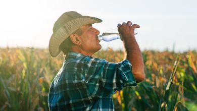 Farm worker under the hot sun, drinking water.