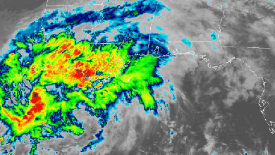 Satellite animation of Tropical Storm Nicholas.