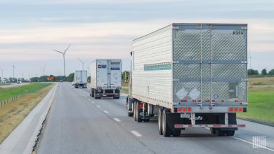 Experts say sustainability comes second to capacity.