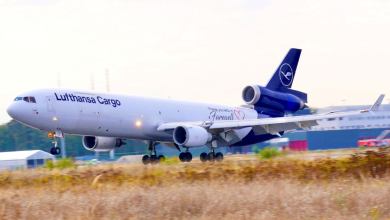 A white Lufthansa plane with a blue tail touches down on runway with grass in median.