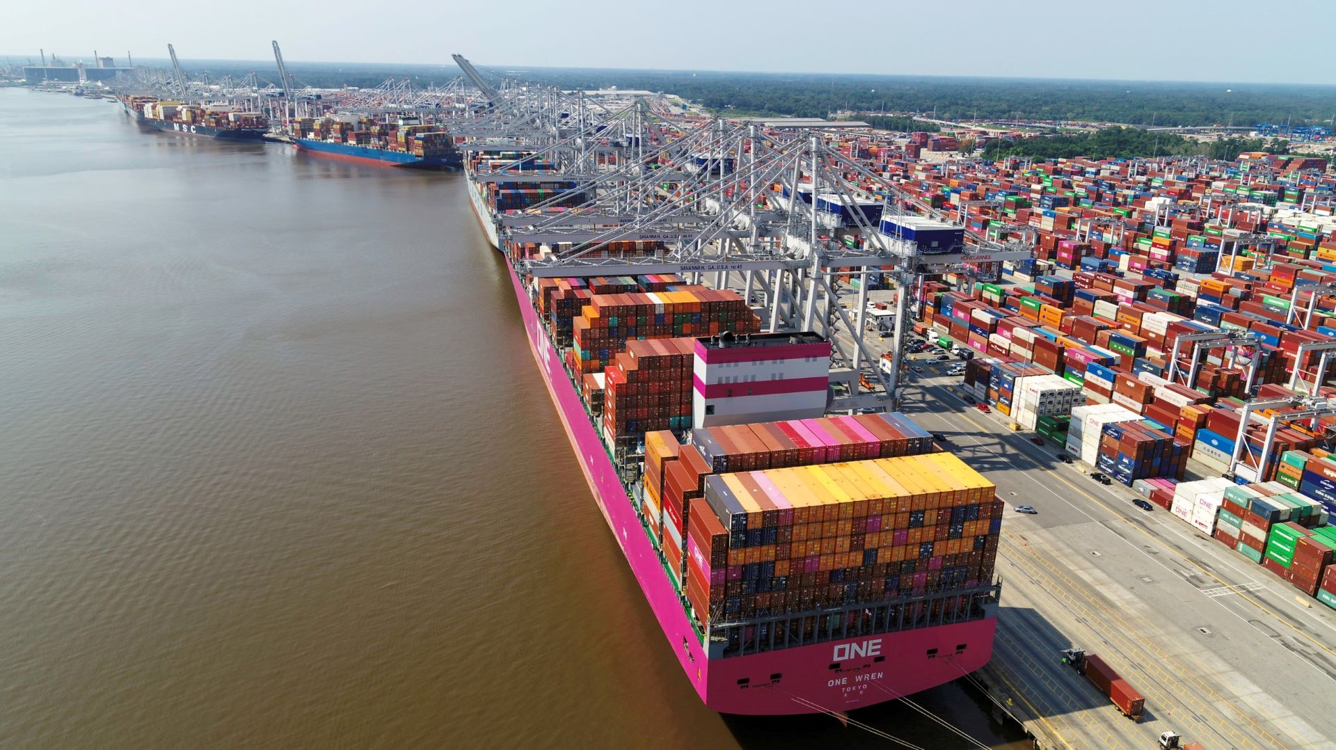 Giant container ships ring the harbor at a port.