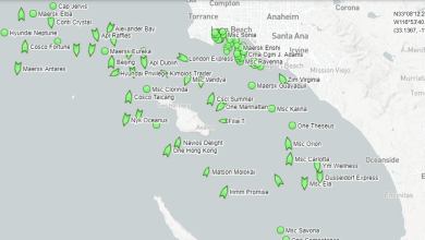 container shipping