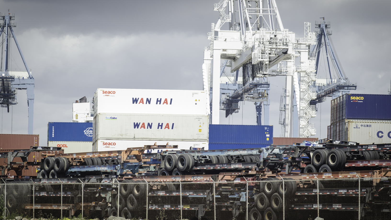 Containers and chassis stacked at a port with cranes in the background.