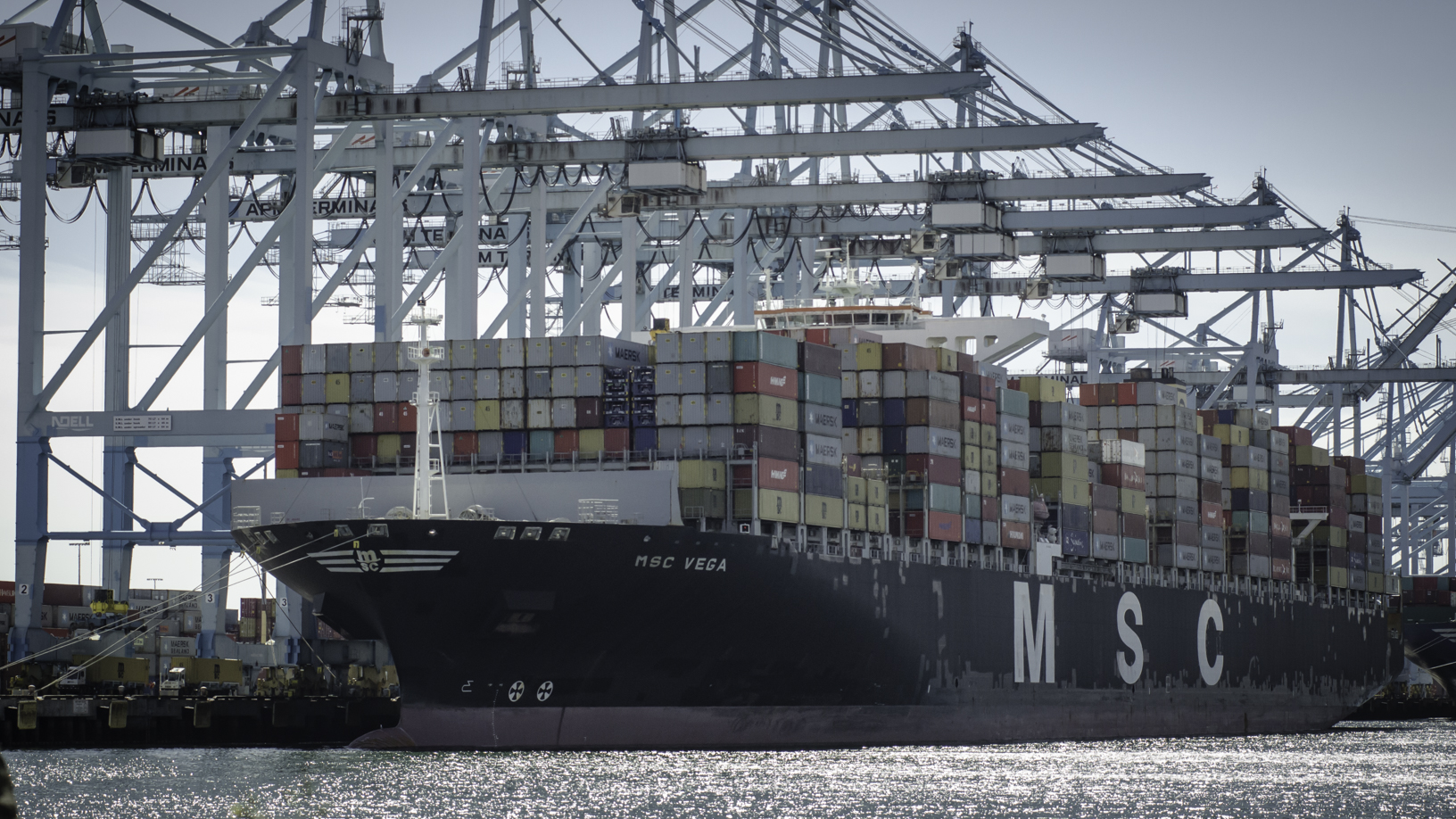 A large container vessel with MSC on hull at a port with large cranes hovering over it.