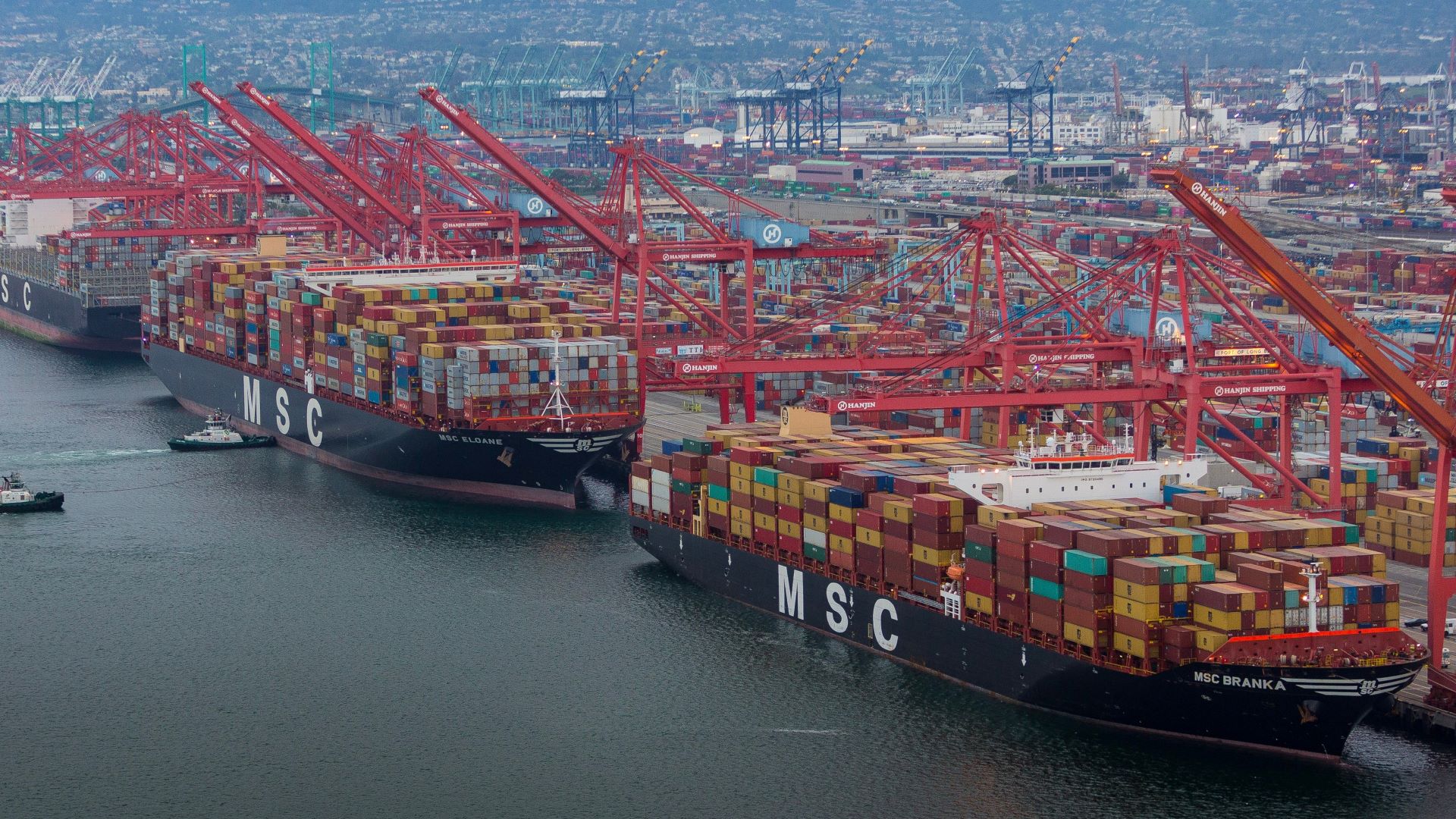 Three large container ships with black hulls and MSC painted on the side tied up at a large wharf with cranes.