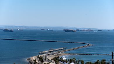 container shipping