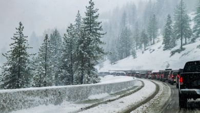 Cars and trucks stopped on a snow Sierra Nevada highway.