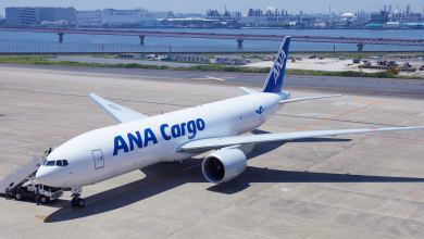 An angle view from above of white jet with blue lettering ANA Cargo.