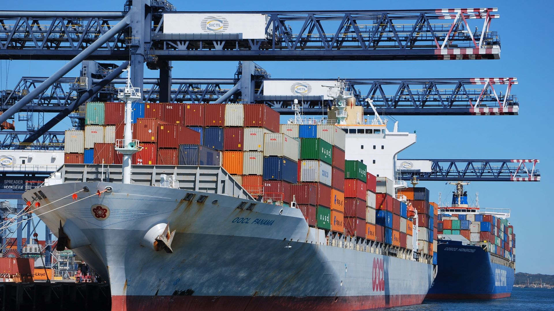 Container vessels at port with gantry cranes stretched overhead on clear day.