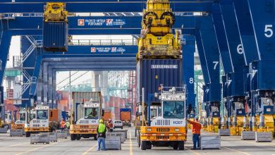 Workers and trucks under giant ship cranes at a port.