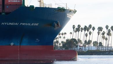 container shipping