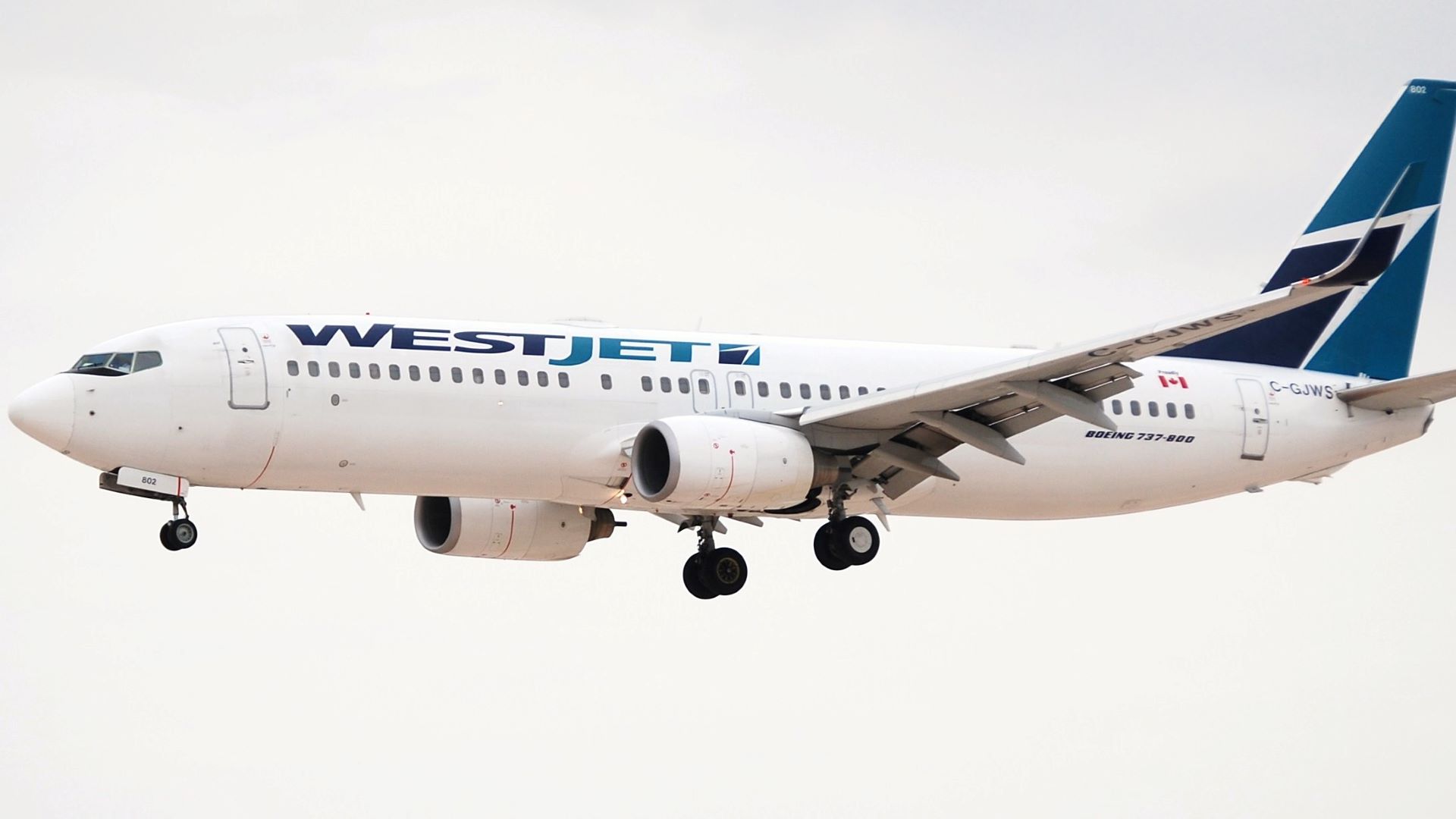 A white WestJet plane with wheels down comes in for landing. Plane has green tail.