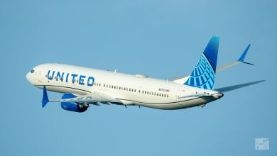 A white United Airlines jet with a blue tail flying into the blue sky heading away from the camera.