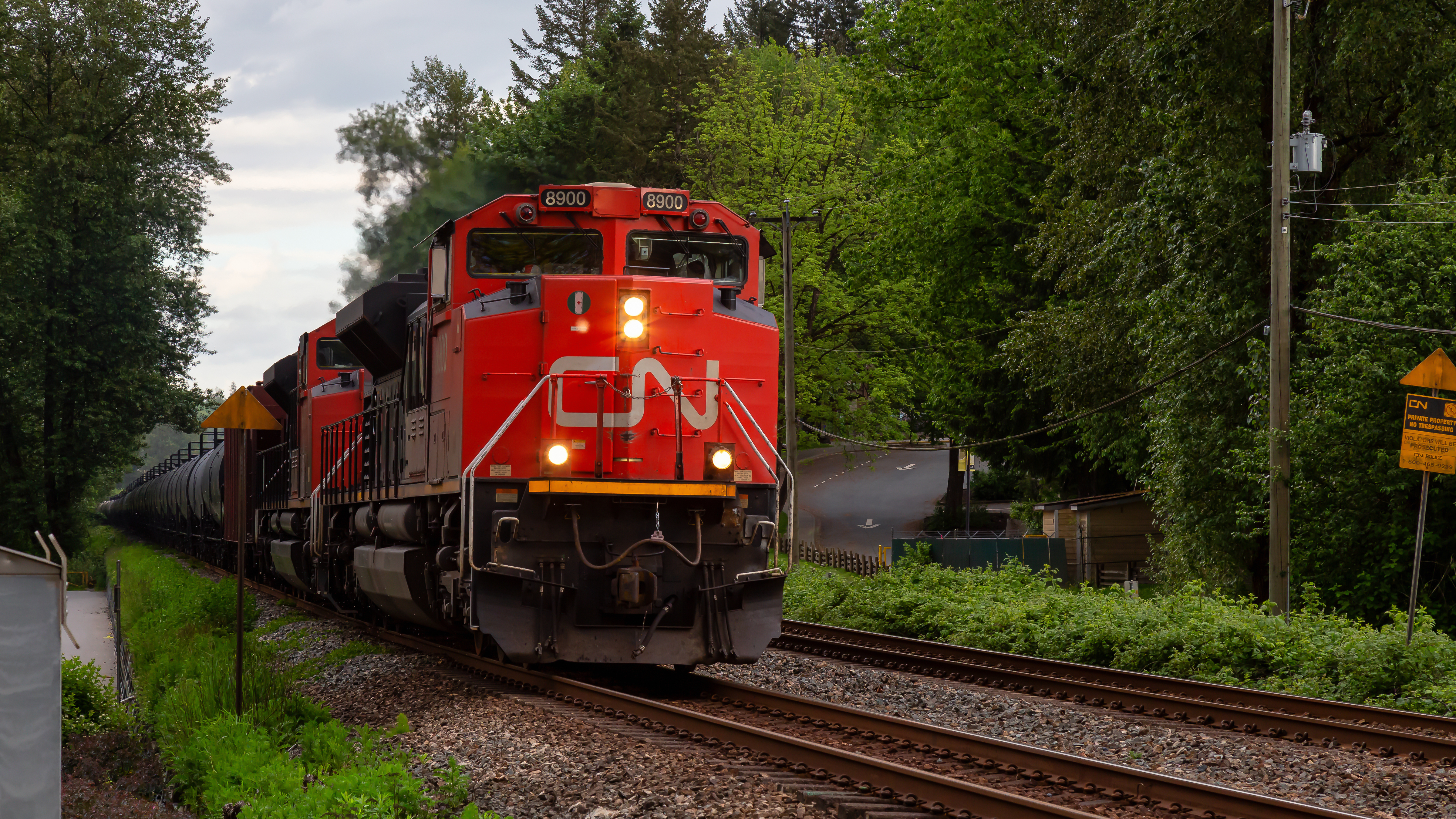 A photograph of a CN train traveling through a forest.