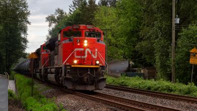 A photograph of a CN train traveling through a forest.