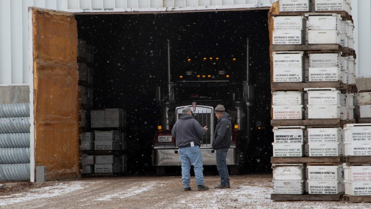 Boxes with beehives are stacked outside of a building with a truck in it.