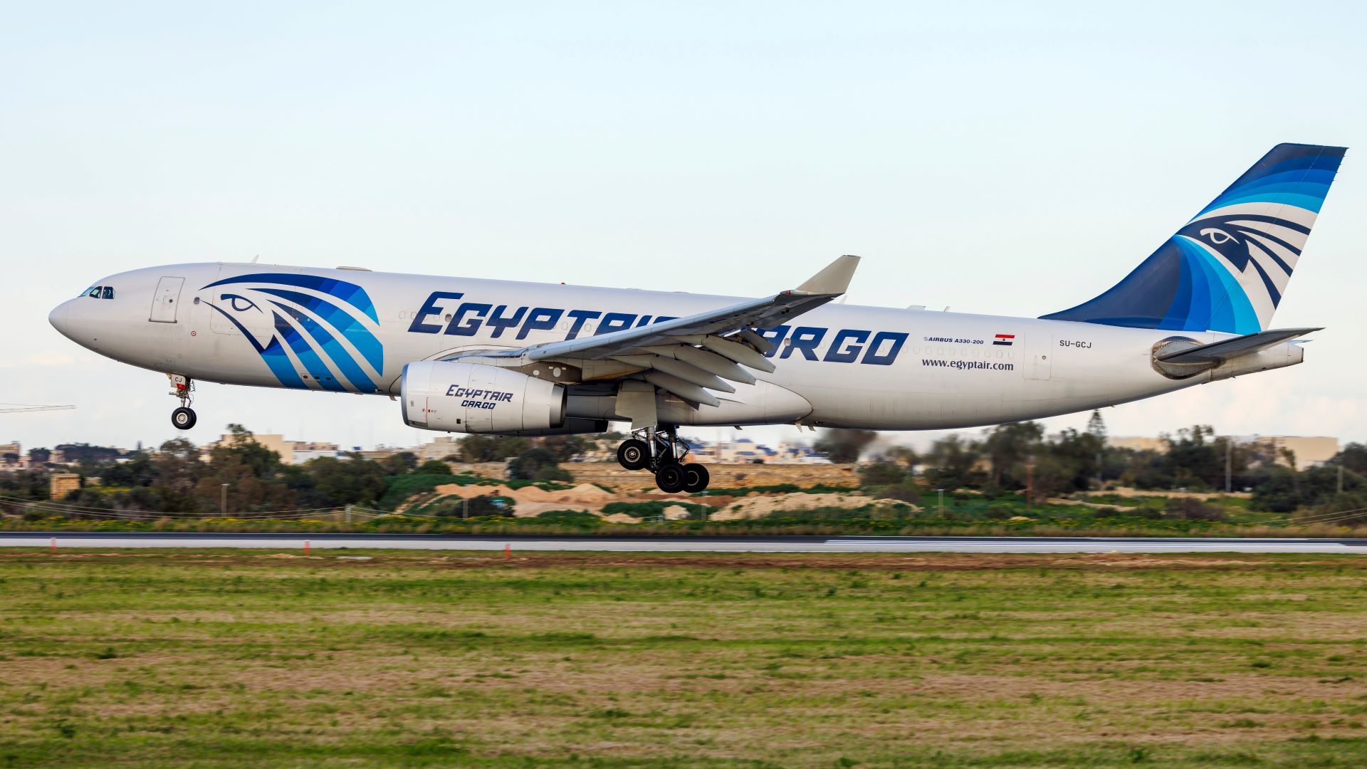 A white jet with EgyptAir Cargo painted on side with a blue tail lifts off runway.