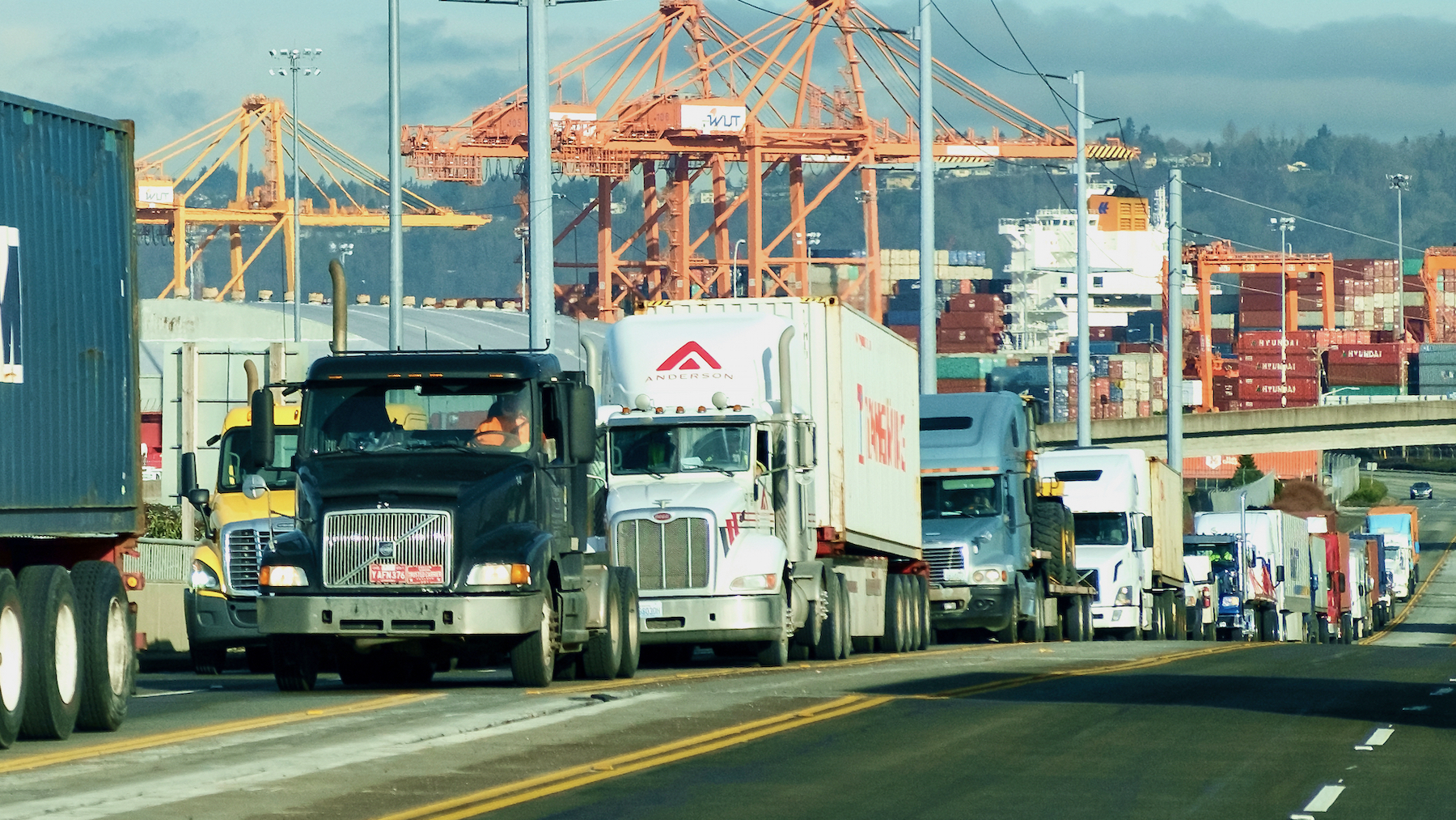 A line of semi-trucks with intermodal containers with the Port of Tacoma in the background.