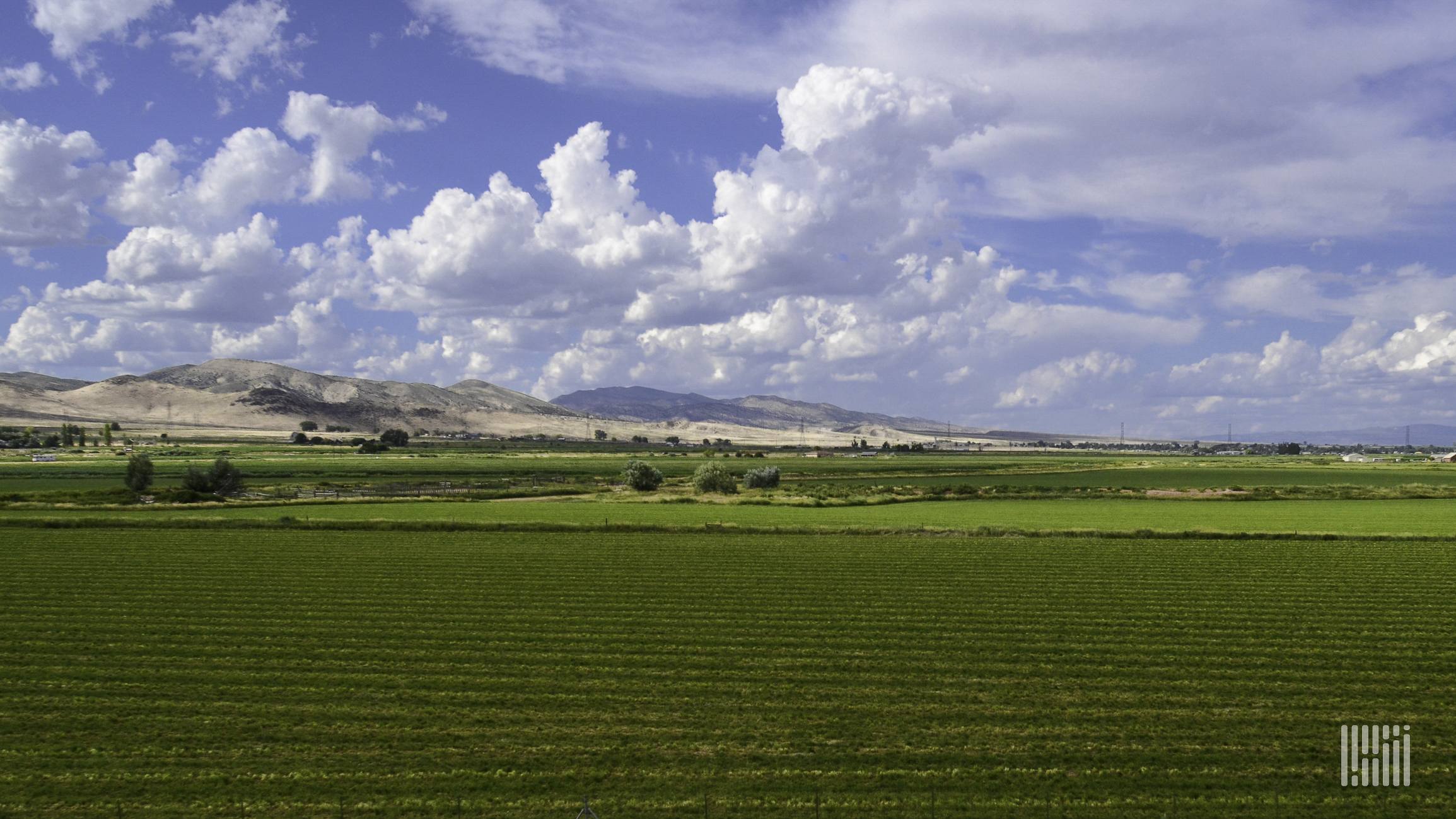 Green rows of crops are shown with a background of cloudy blue skies.