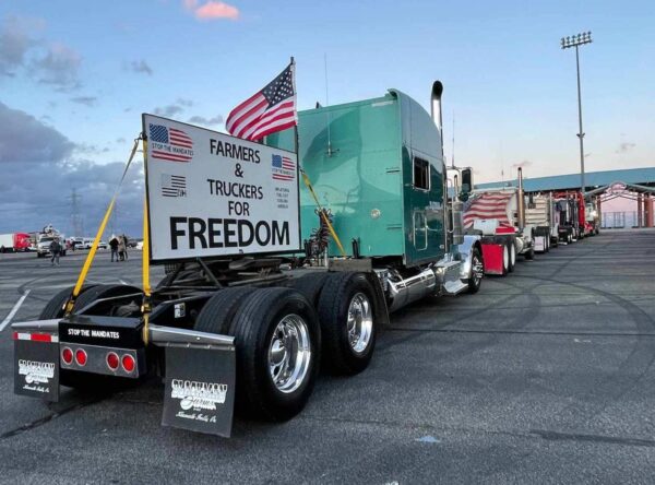 A lineup of People's Convoy trucks