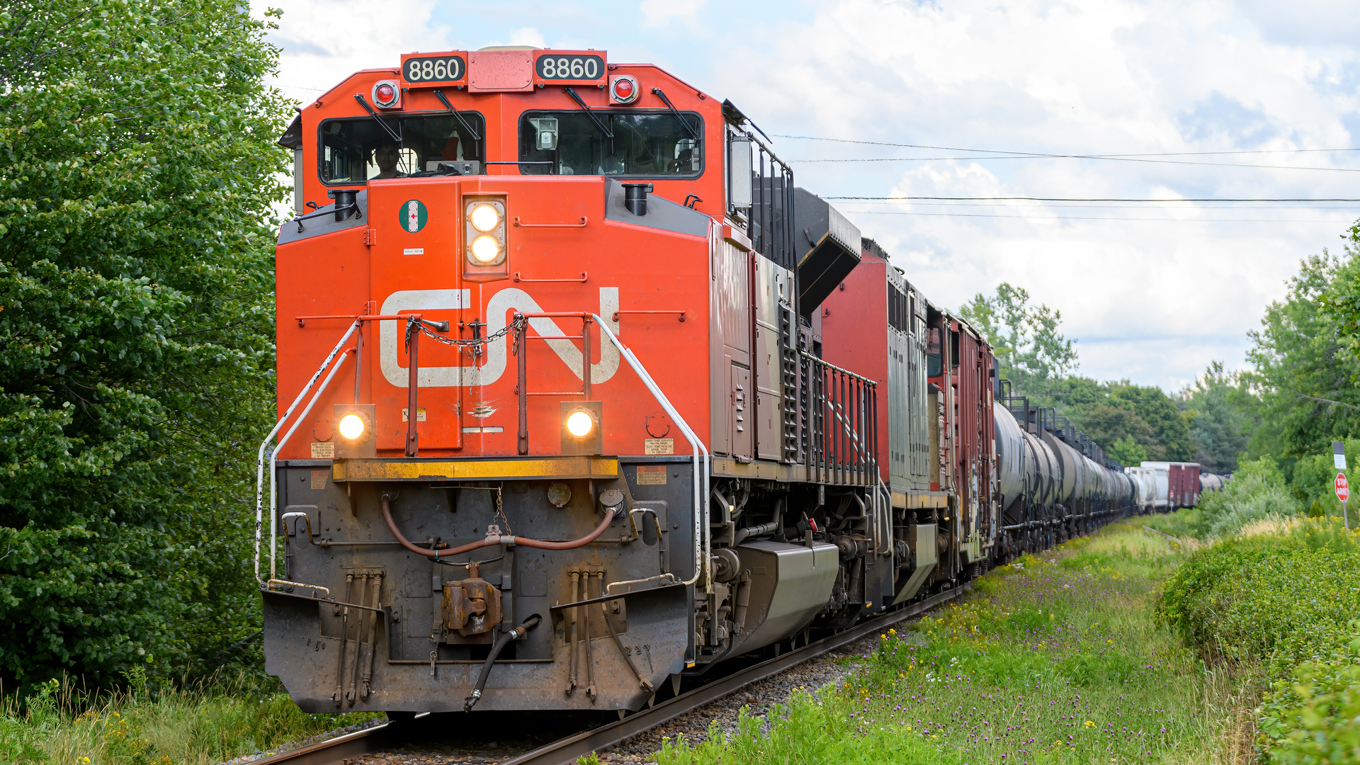 A CN locomoive hauls railcars along a forest.