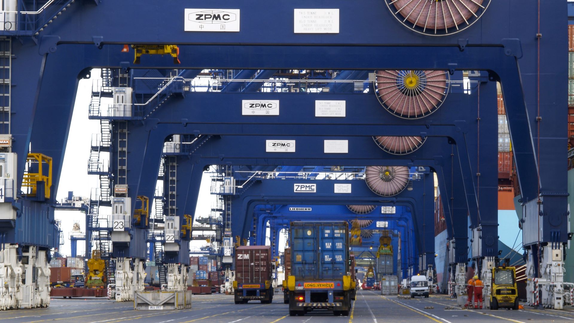 Container cranes with trucks underneath at a port.