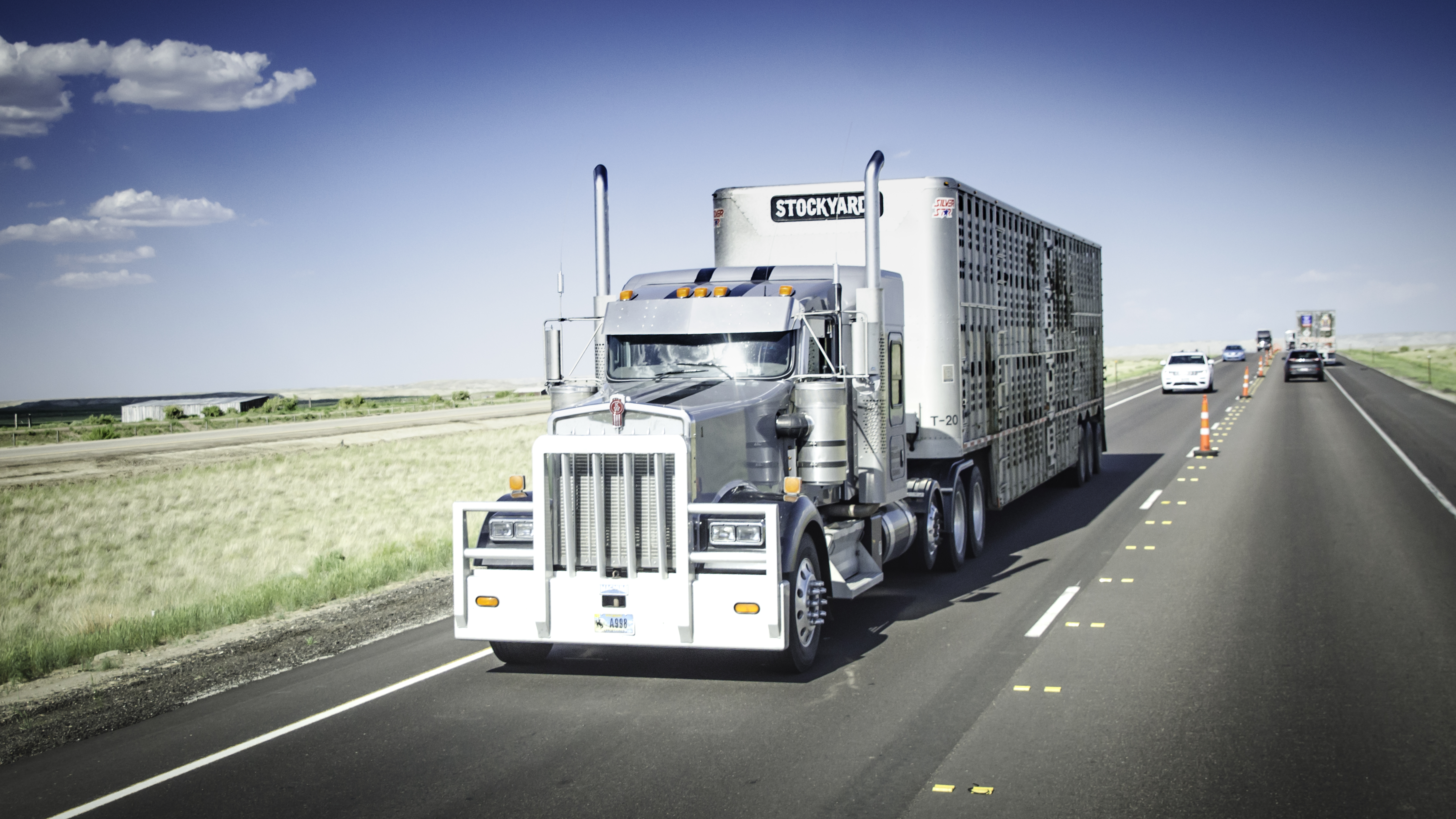 Truck with livestock trailer.