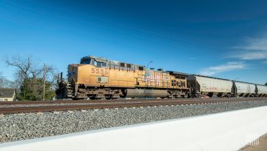 A locomotive hauls railcars down the railroad track.