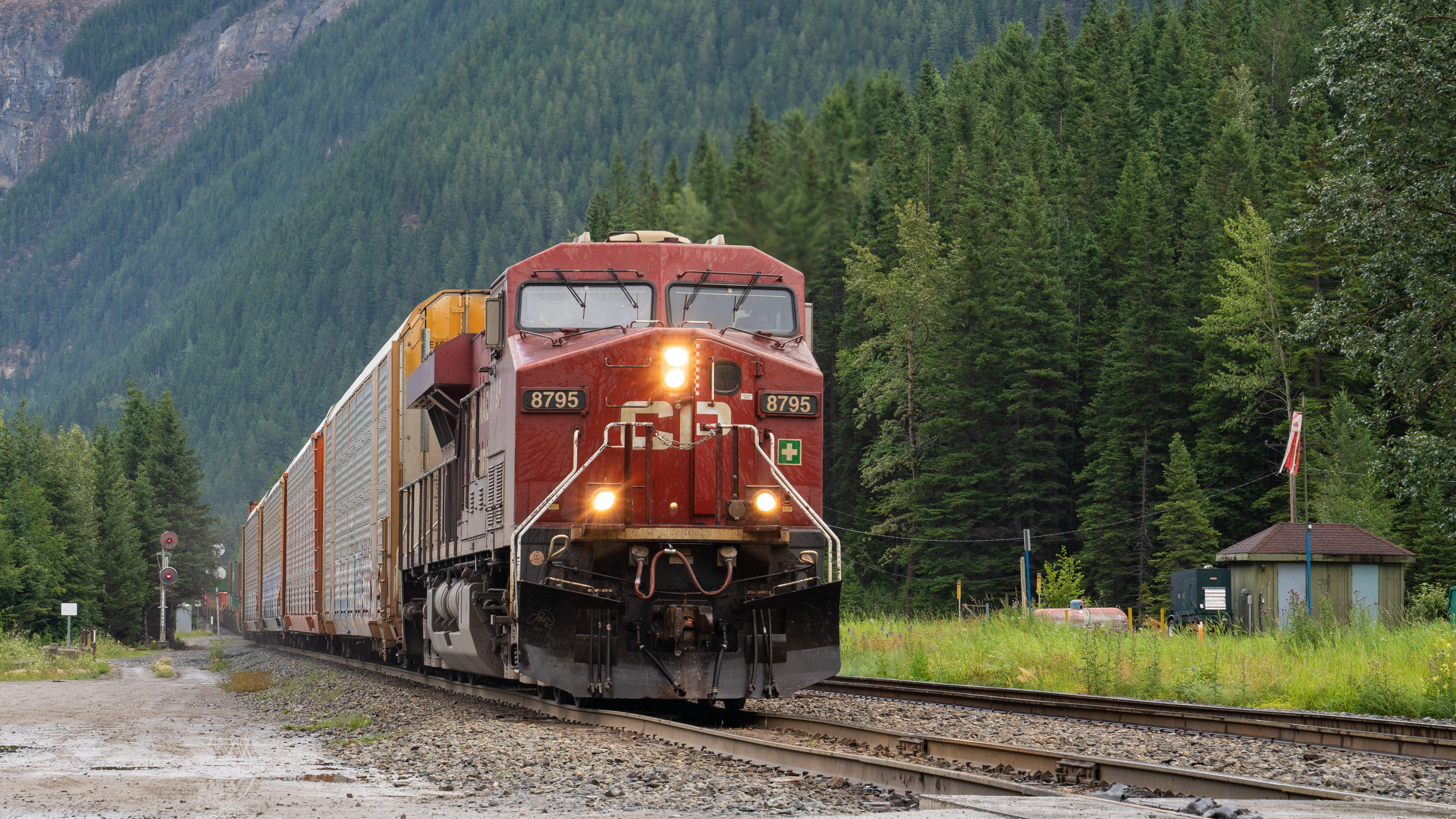 A locomotive with the letters CP emblazoned in the front hauls railcars by a tree-covered mountain.