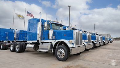 Rows of blue Peterbilt trucks