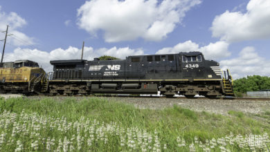 A Norfolk Southern train zooms past a grassy field.