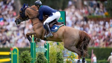 Side view of a brown horse and rider jumping over obstacle during a show.