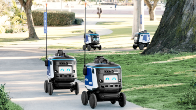 Kiwibot robots navigate walkway